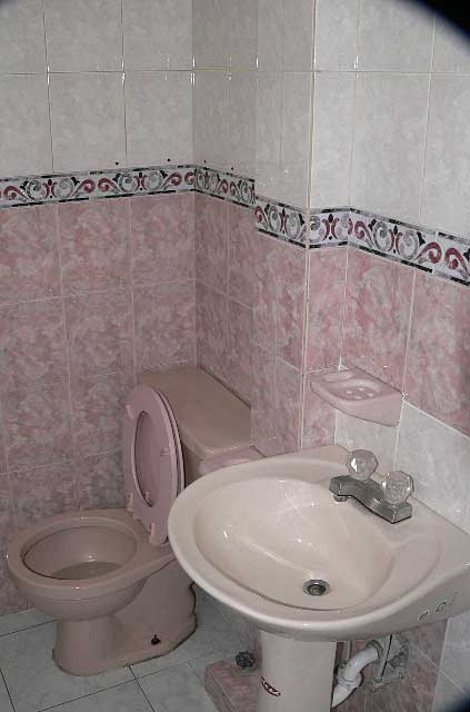 Bathroom Photo Example - bathroom in a with pink tiles