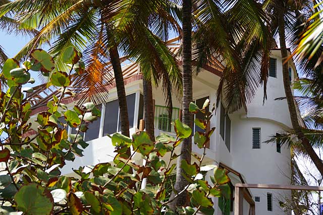 Photo Example of a beach house painted in white, hidden behind some palm trees