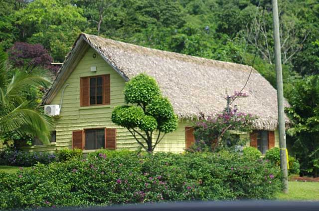 Photo example of a country home with traditional palm leaf roofing