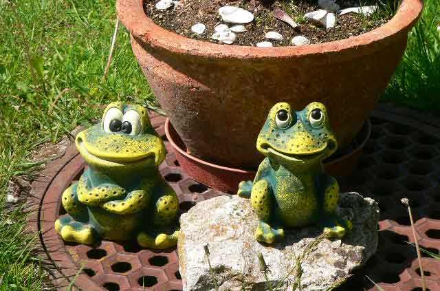 These 2 little decorative frogs in the garden look good and make most by passers smile, these items are available at most garden centers
