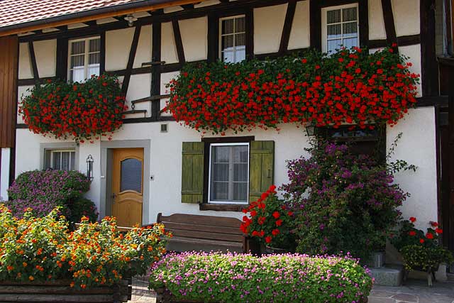 This old farm house in Switzerland is a good example of how you can decorate your house with flowers
