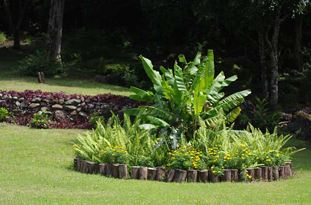 Example of a little garden with cut tree trunks used as border and filled with tropical plants