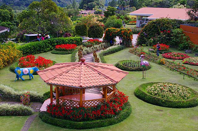 Example of a beautiful garden with a variety of flowering plants, this image was taken in Boquete, Panama