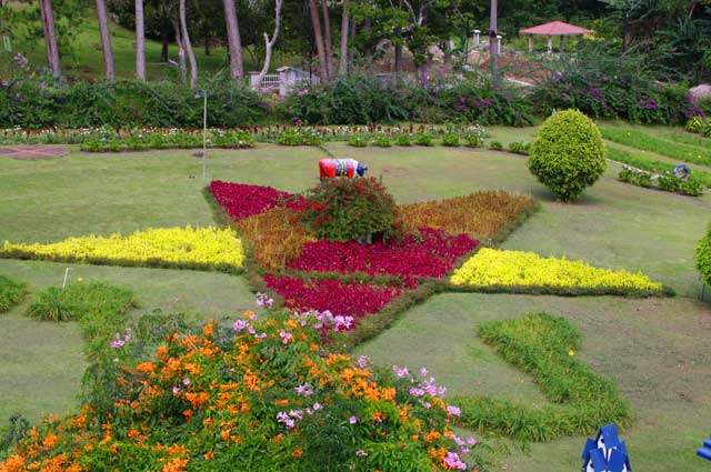 Example of a beautiful garden in star form with a variety of flowering plants, this image was taken in Boquete, Panama