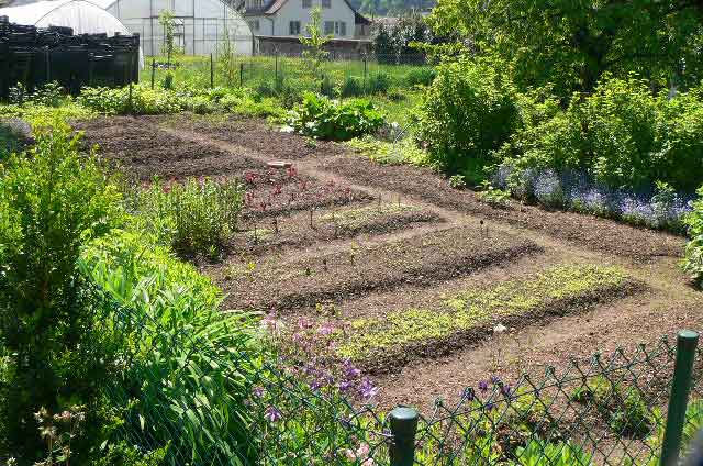 Big vegetable garden behind a country house in Switzerland, ready and set to grow some potatoes, onions, garden herbs, carrots and a variety of salads