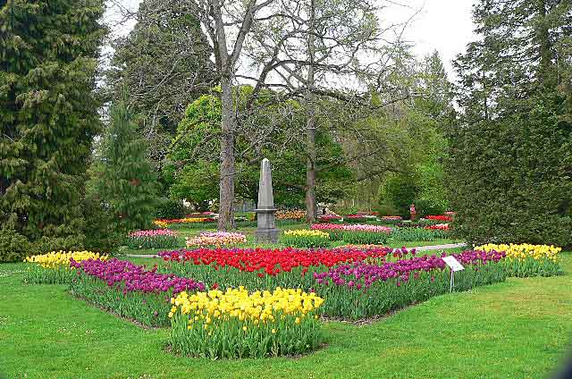 Beautiful tulip garden expo in the Parc de l'Indpendance along the shores of Lake Geneva in Morges, Switzerland
