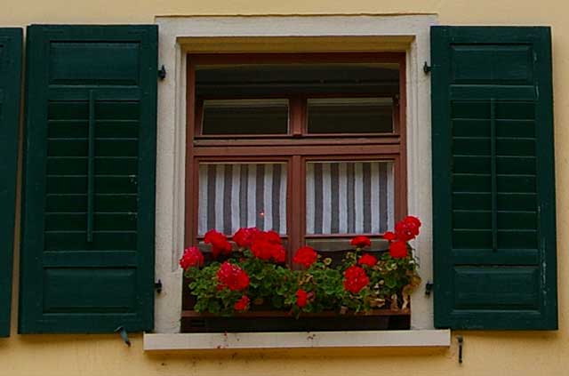 Photo example of a simple traditional window with wood frames and green shutters, often time in Europe decorated with flowers like in this case with red Geraniums