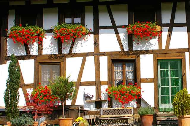 Photo example of windows in an old farm house with lots of flowers, this is a typical farm house in Switzerland